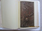 Bild 9 von 9
