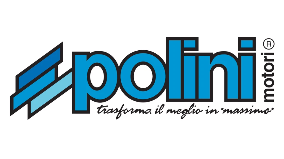 282.0002 Kit de Revisión Cigüeñal POLINI Kreidler: Easy Rider - Imagen 3 de 4