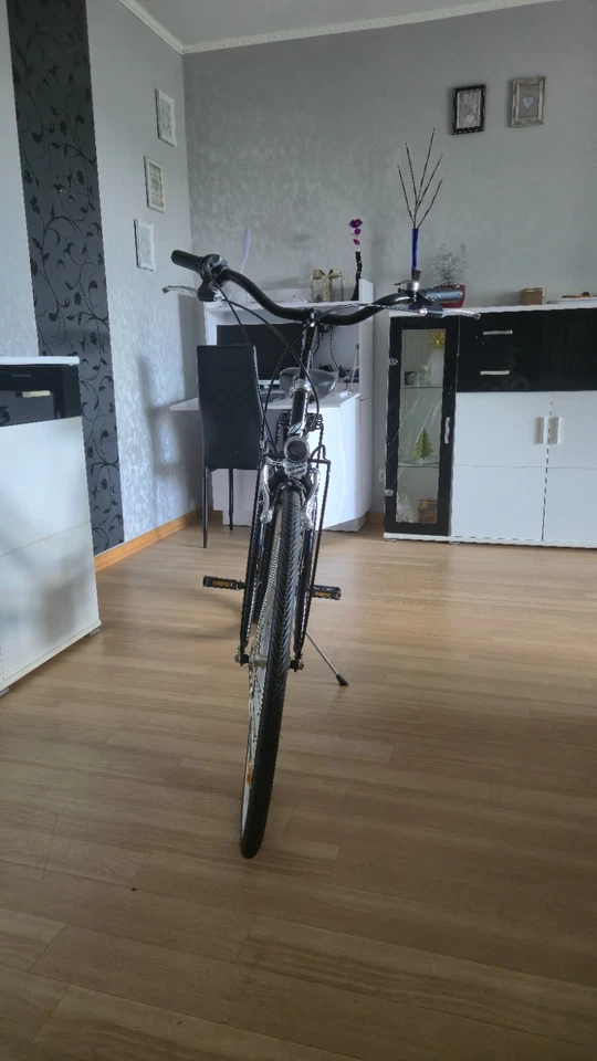 MBM Trekkingrad touring 6 Gang Shimano TY 21 Schaltwerk, Kettungschaltung - Bild 3 von 4