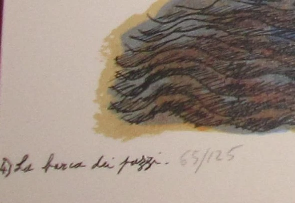 Franz Borghese  La Barca dei pazzi Serigrafia su carta esemplare 65/125 - Immagine 4 di 4