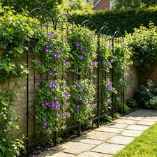 3X Metal Garden Trellis Climbing Plant Arched Grid Panel Upward Green Wall Fence