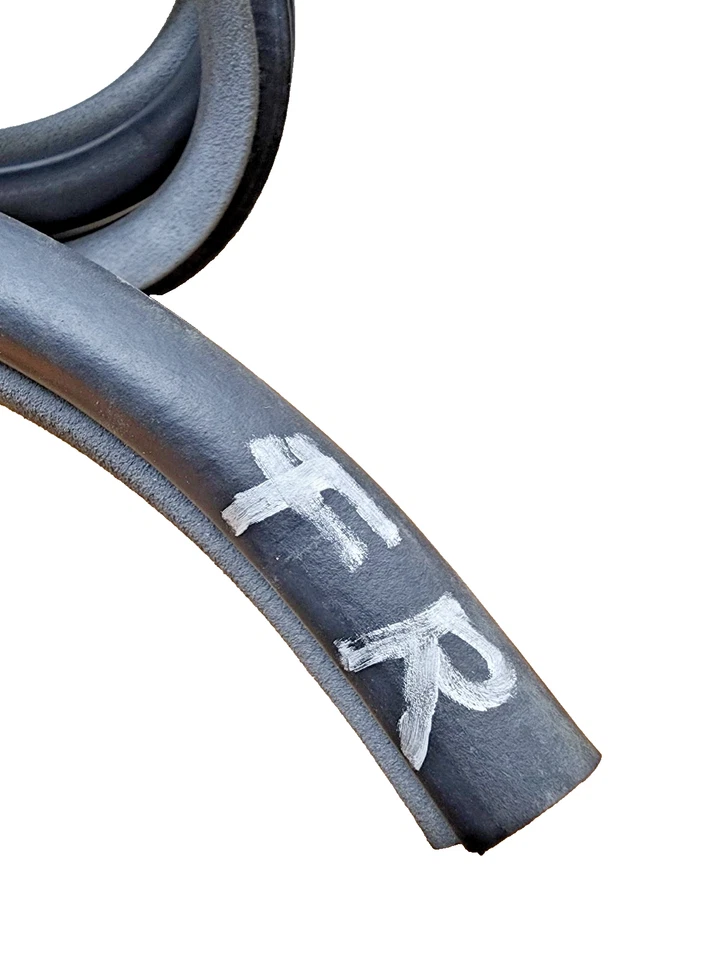 Hyundai Azera 2006-2011 sello de puerta lateral del pasajero delantero derecho resistente al clima OEM Foto 2 de 2