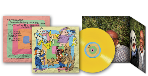 David Liebe Hart (Adult Swim/Tim & Eric) Vinyl LP: The Wonderful World... - Picture 3 of 3