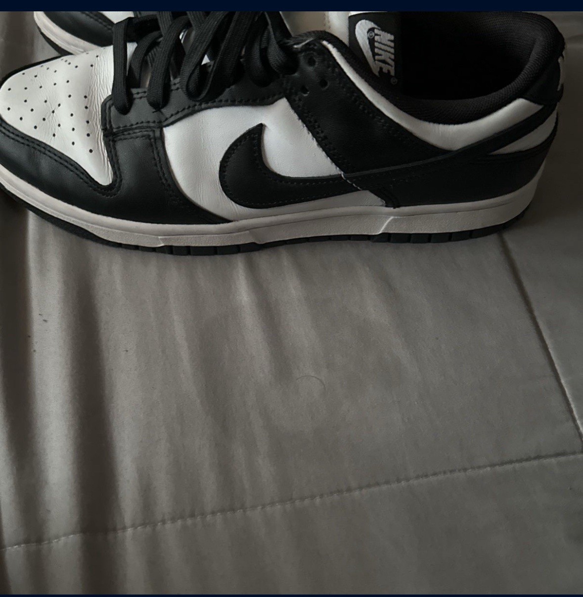 Panda Dunk Lows - image 2