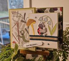 STAMPIN UP CARD KIT - BUGS JUST BECAUSE Makes 4- Set 26.106