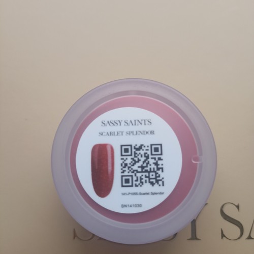 NEW & sealed Sassy Saints Dipping powder Nails Dip Powders - Picture 87 of 98