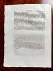 Foto 3 di 3