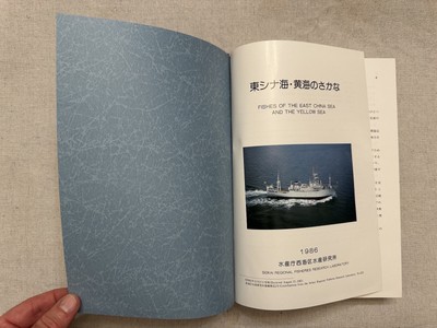 東シナ海・黄海のさかな 東シナ海・黄海のさかな 希少本】東シナ海