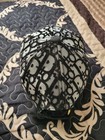 Dior Cap