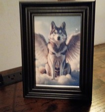 En mémoire d'un Husky de Sibérie dans cadre avec verre et aimant