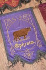 Picture 4 of 5