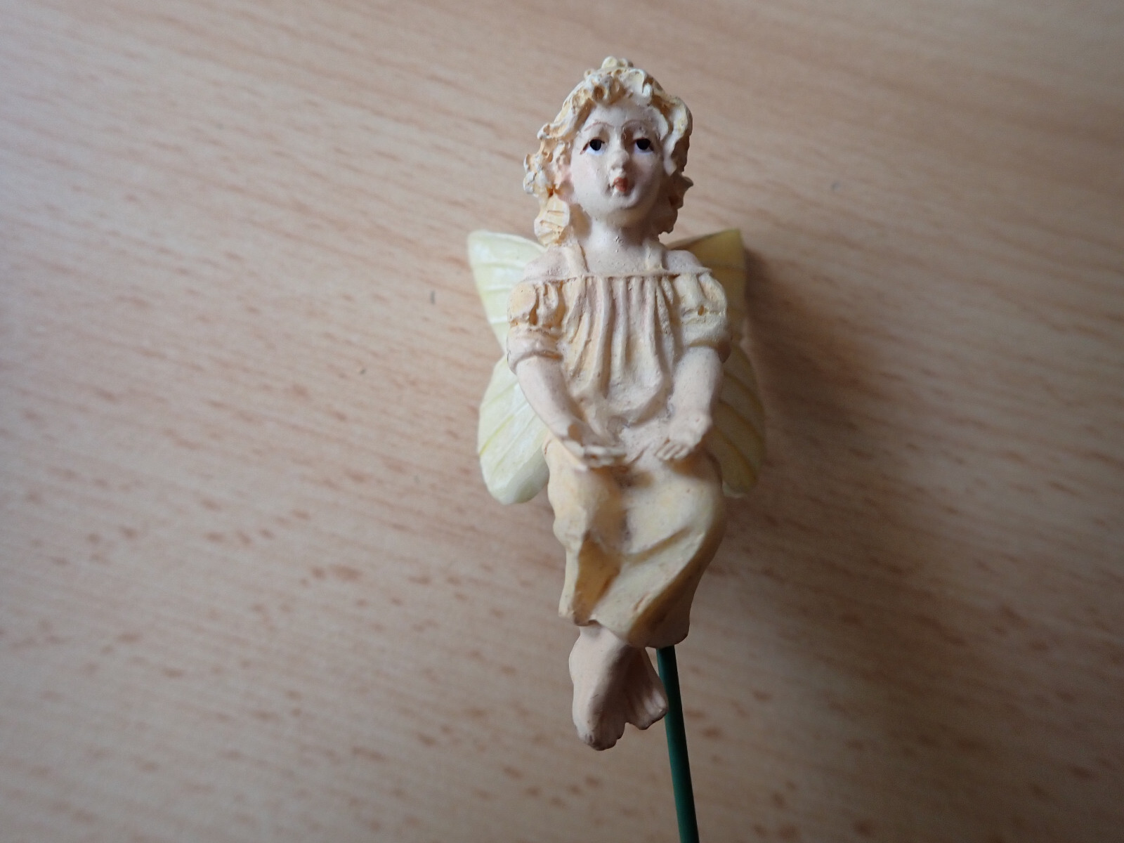 Bild 1 von 2
