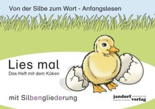 Das Heft mit dem Küken: Von der Silbe zum Wo...