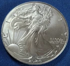 A 2024 $1 1-oz American Silver Eagle Star Privy Struck Through Error Reverse