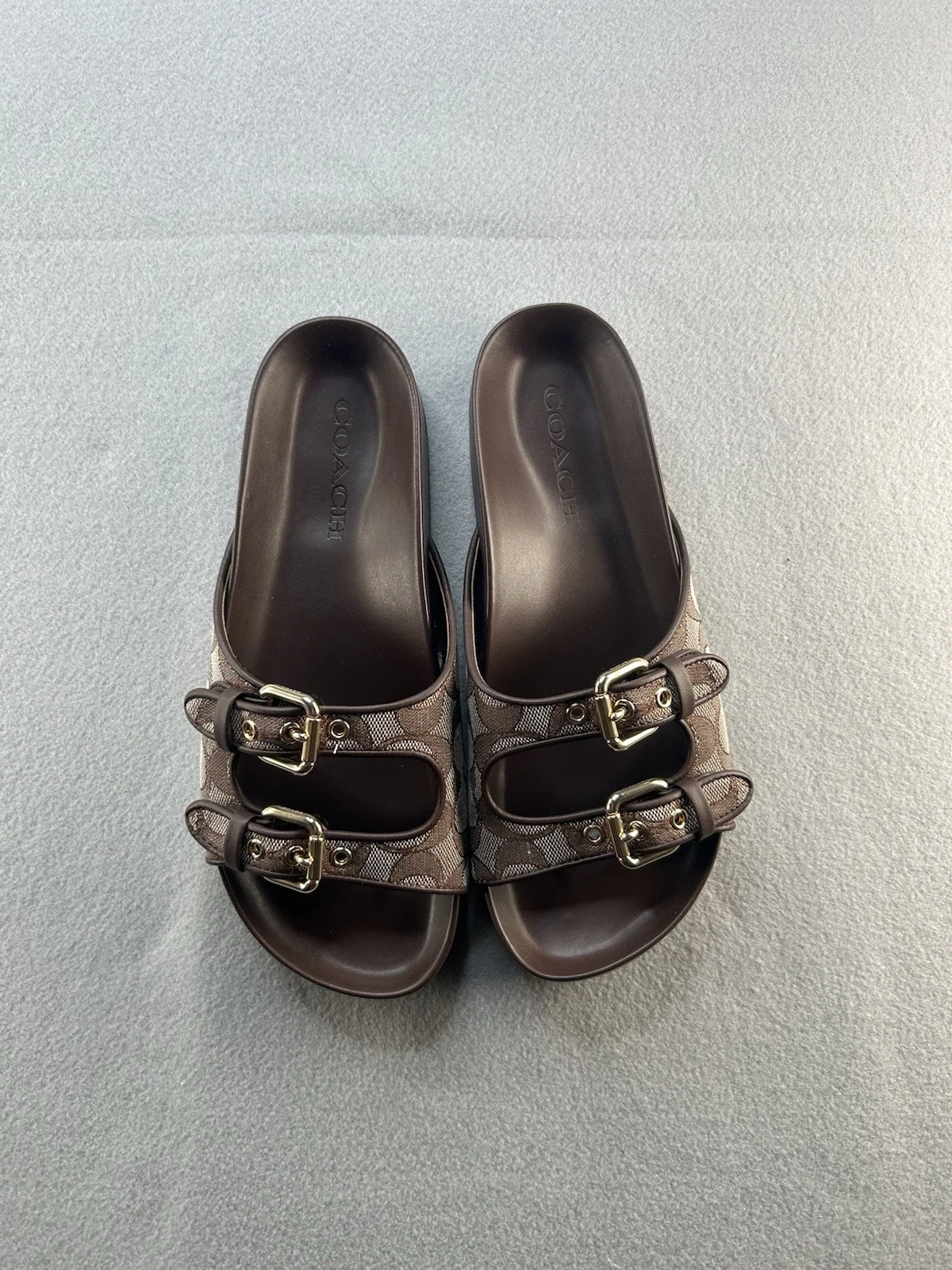 Coach Sig Jacquard Buckle Slides Sandals Brown Oak/Maple Size 8.5 NWT