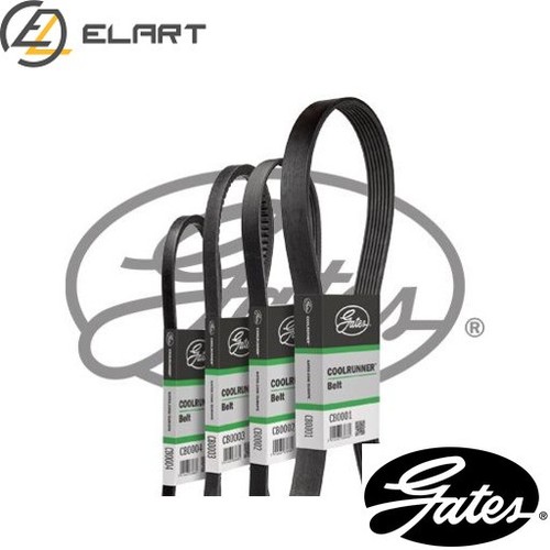 VRIBBED BELT CB0009