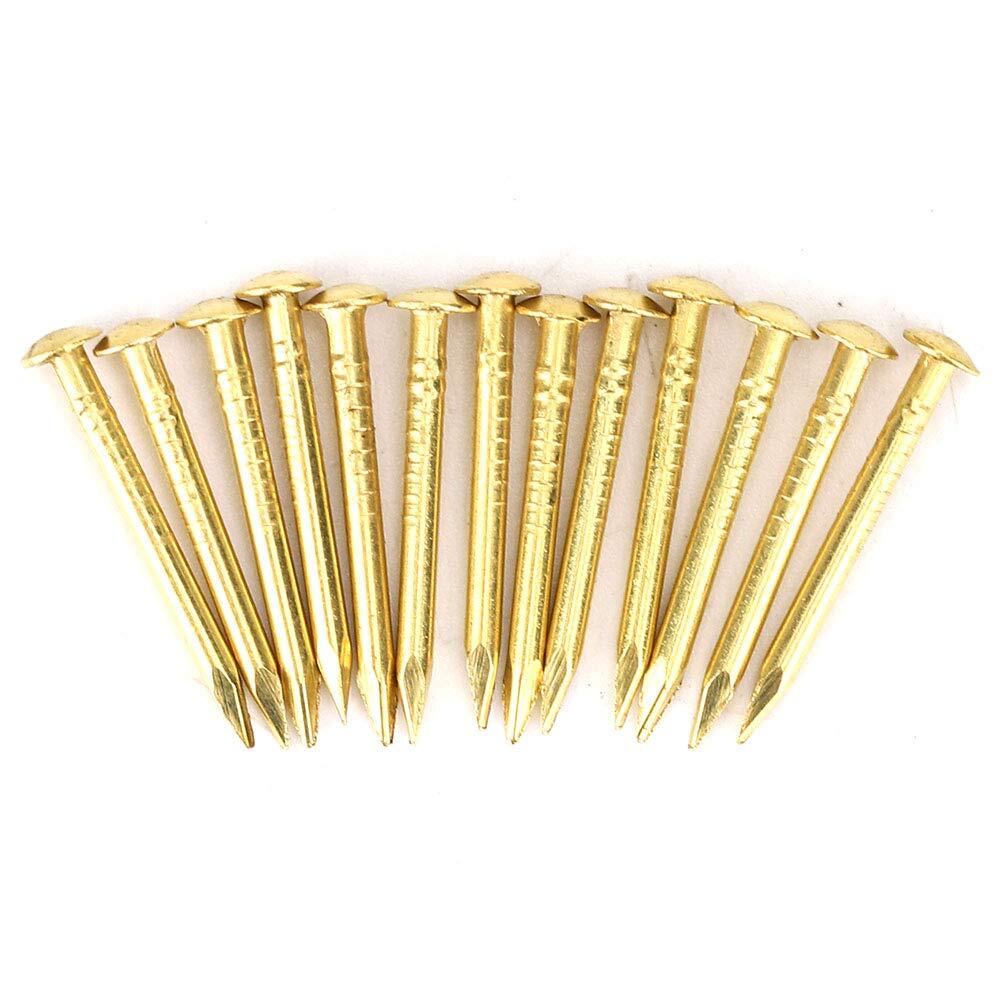 Brass Escutcheon Tacks Round Head Nail Furniture Hinge Hardware Assortment Ki...