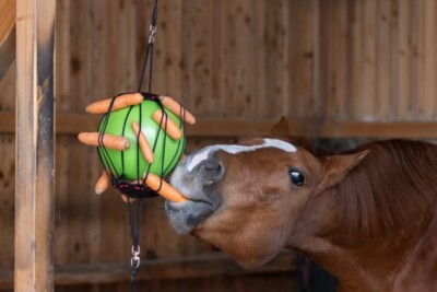 Therapy Game Ball Kerbl Green NEW