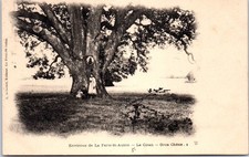 45 LA FERTE - le ciran, gros chene