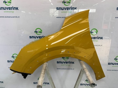SPATBORD LINKS VOOR Peugeot 208 II (UB/UH/UP) 2020 |9823208580|