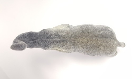 Vintage Flocked Elephant Plastic Figure Fuzzy Raised Trunk Pachyderm Zoo Safari - Picture 11 of 18