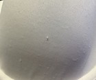 Foto 9 di 9