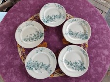 5 Assiette Plate Faience Longwy Modèl Mignon Floral Oiseau Libellule Vert 23,5cm