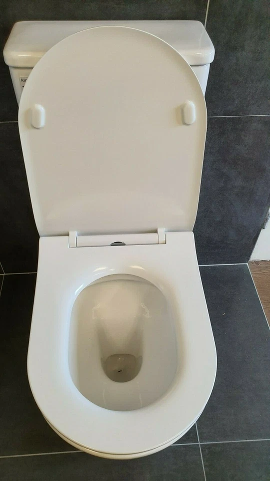 Rimless Toilet Suite Back to Wall S&P Trap Soft Closing Seat - image 4 of 4