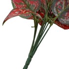 Bild 10 von 10