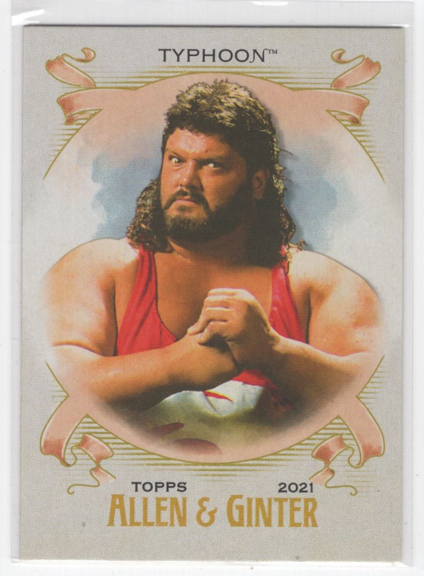 #AG-22 2021 Topps Heritage WWE Allen & Ginter / Typhoon