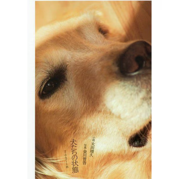 Dog Book Hardcover Japan Import Authentic Excellent