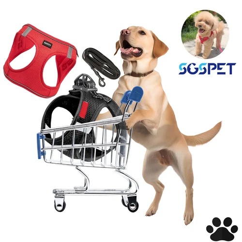 3XS-L Small Dog Breathable Mesh Harness Vest Soft Collar Chest Strap Leash Set - Picture 2 of 10