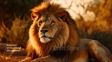 Digital Image Picture Photo Wallpaper Background Lion Art