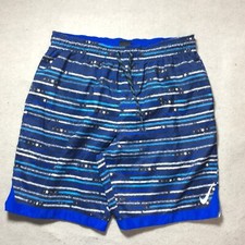 Nike Swim Trunks Men's Sz L Blue Striped Lined Pockets Water Shorts Drawstring