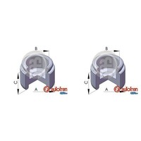 2X Autofren 38Mm Kolben Bremssattel Hinten Vorne Passend FüR Mercedes 124 190 C-