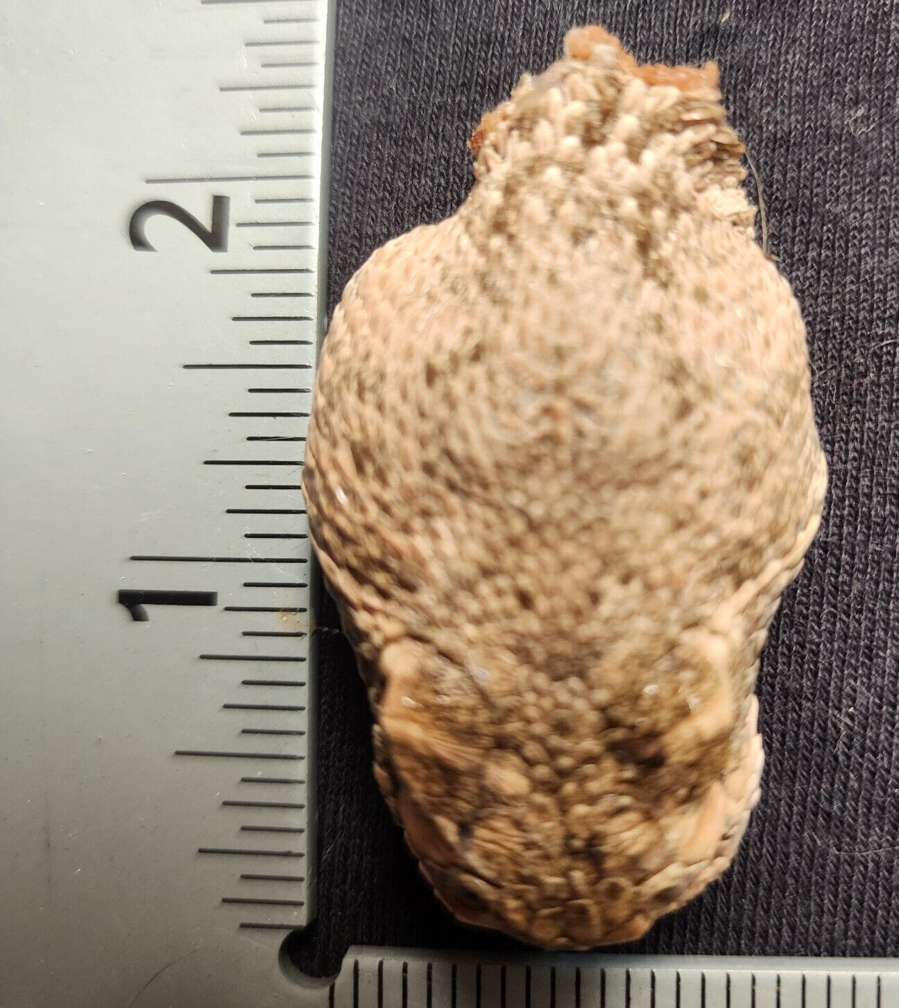Picture 2 of 24