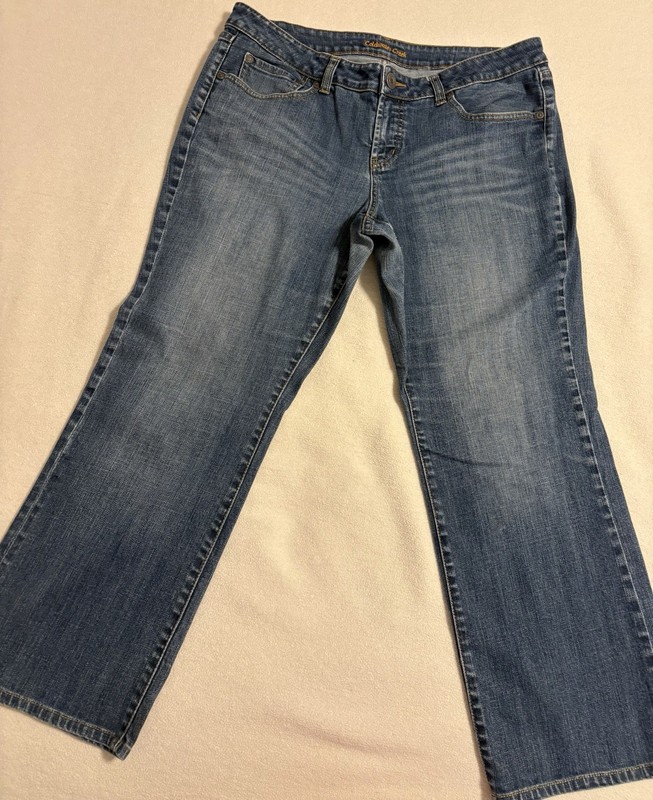 Coldwater Creek Women's Low Rise Bootcut Leg Jeans Petite Waist 34, Inseam 26