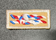 National Eagle Scout Association Outstanding Eagle Scout Knot Life Mem. NON BSA