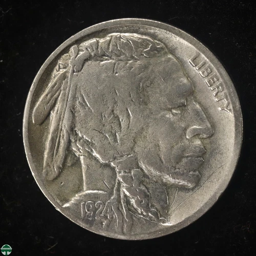 1924-D Buffalo Nickel - Fine Details