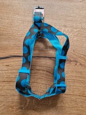 Hundegeschirr Geschirr Flamingo blau schwarz dots Punkte 55-80 M/L Hund