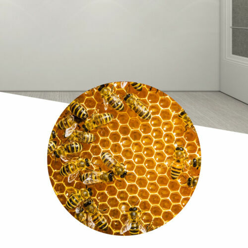 Super Strong Waterproof Shoe Glue For Sole Repair - Non-Hardening Adhesive For Leather And Rubber - Transparent - Foto 3