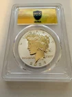 2024-S Ultra Break Peace Silver Dollar PR 70 DCAM PCGS GOLD RUSH LABEL! POP 37!