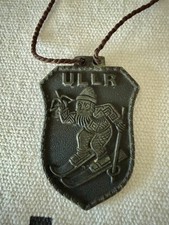 Rare médaille allemande WW2 Edelweiss amitié de la division montagne patrouille à ski ULLR