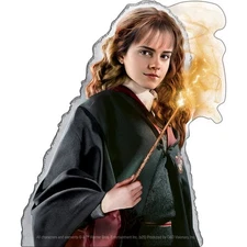 Stickers - C&D Visionary - Harry Potter Hermione Granger 4.1"x5" Movie NEW