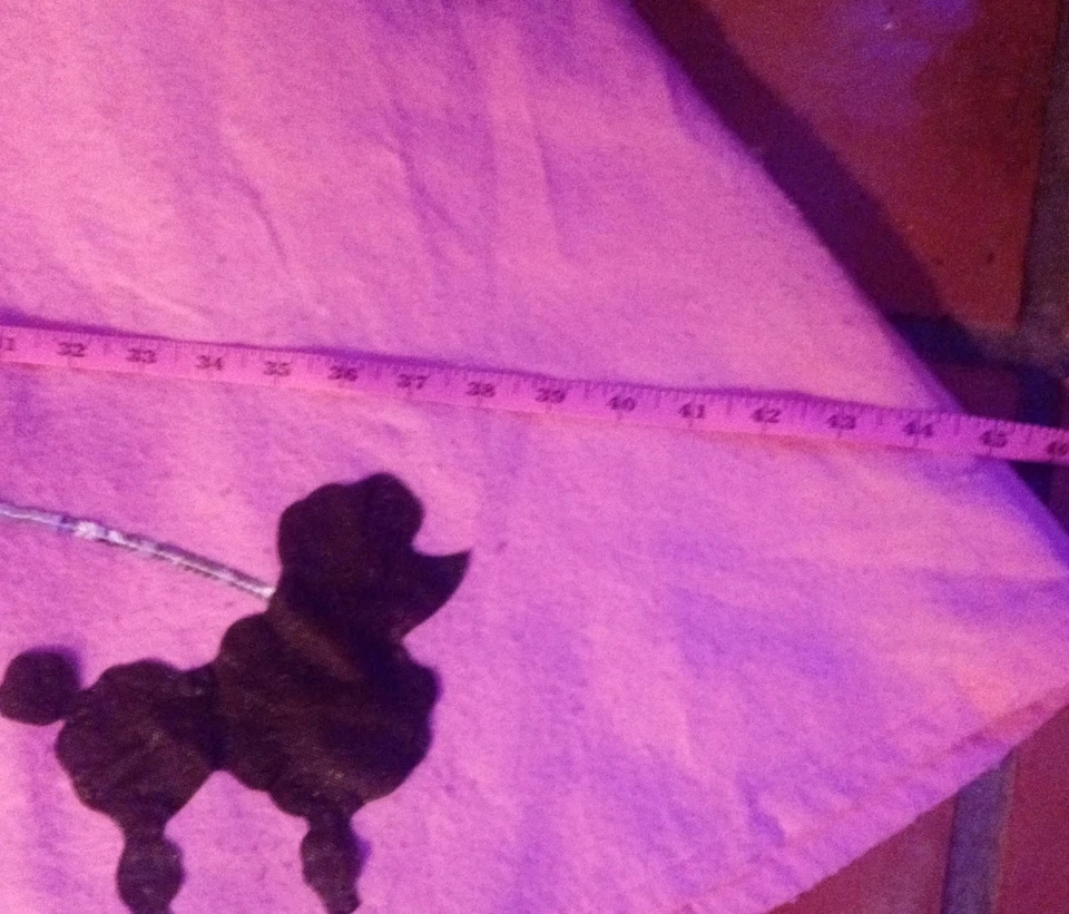 Falda caniche de fieltro rosa estilo Halloween años 50 con caniche negro, 24" de largo x 45" de ancho Foto 4 de 4