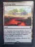 Evolving Wilds - Tarkir Dragonfury Promo - Dragons of Tarkir *NM* Near Mint MTG
