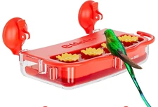 Nature's Rhythm Bird Feeder w/Camera, Smart Feeder! Solar Powered. Bird Watcher