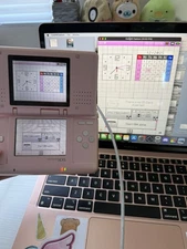 Nintendo DS With Pre Installed- Loopy Capture Card, Pink!