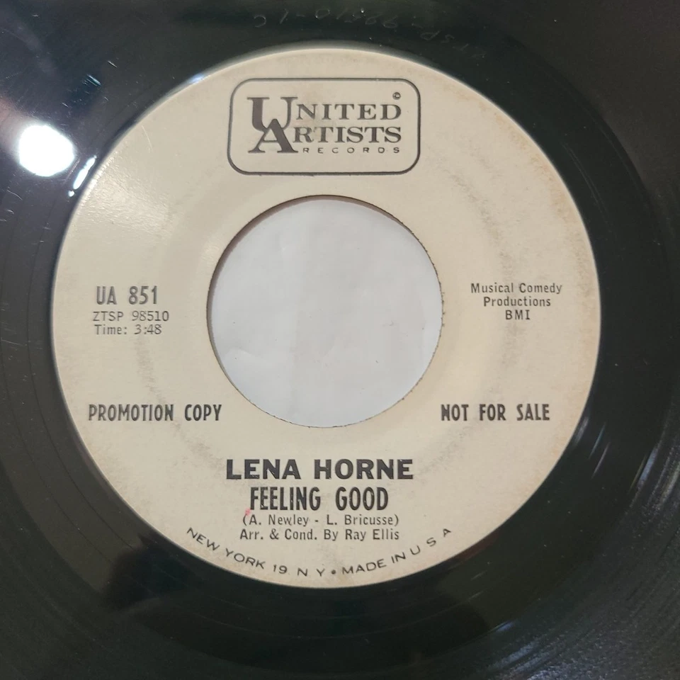Lena Horne ~Feeling Good/ Pleasures and Palaces ~United Artists Promo 45 Record - Image 2 of 4