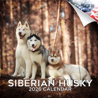 MEGACALENDARS Siberian Husky Dog Breed Calendar 2026 FULL SIZE 12x24 Made in USA